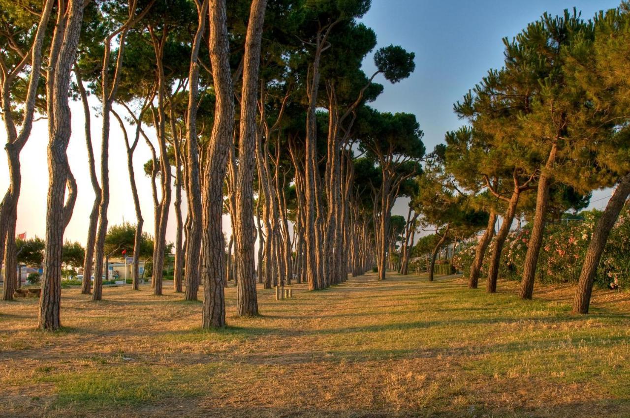 Green Bay Village Pineto Zewnętrze zdjęcie